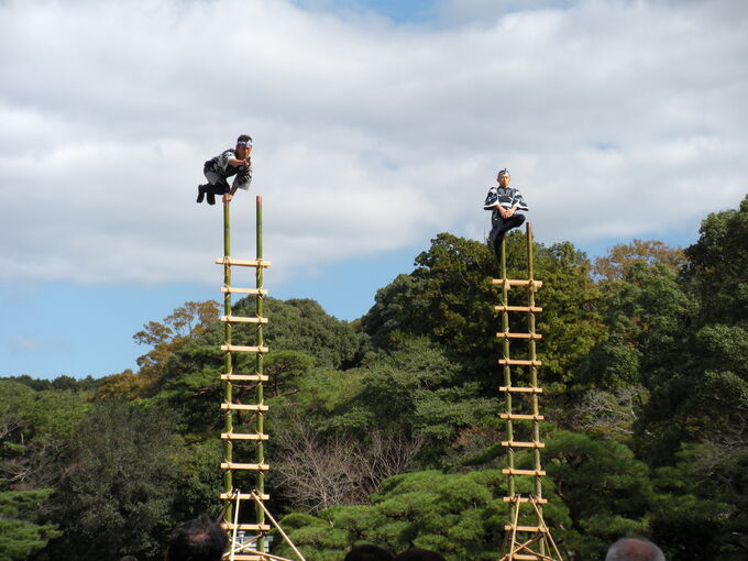 102316_99.jpg 102316_99.jpg