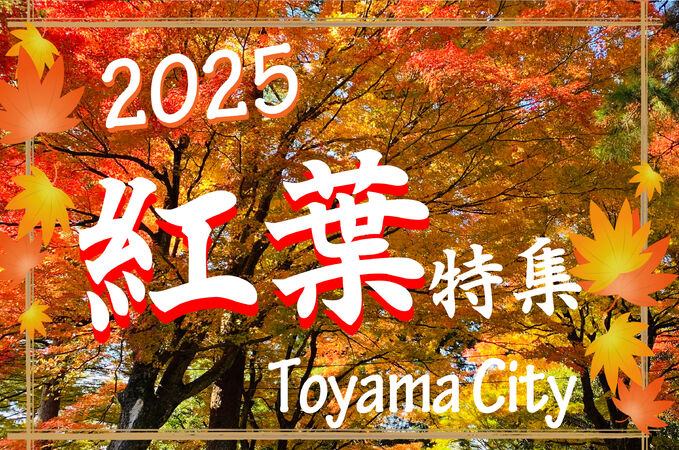 102555_21.jpg 102555_21.jpg